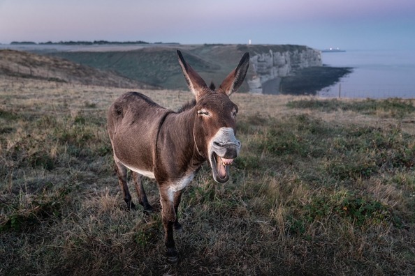 etretat-4506073_960_720