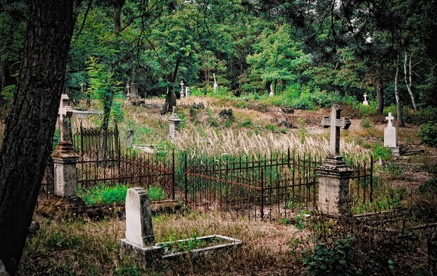 cemetery-3563136_960_720