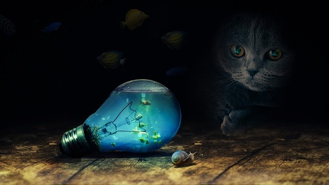 bulb-2352163_960_720