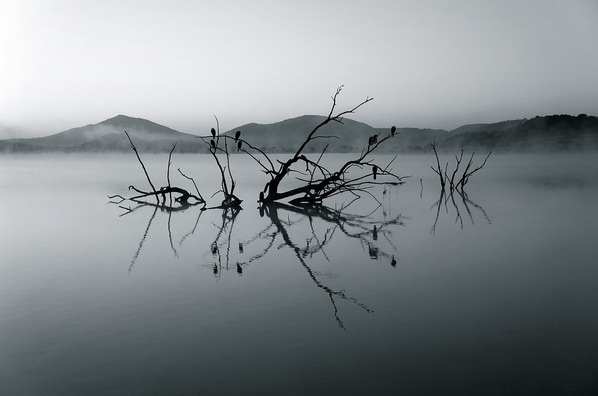 nature-reserve-375609_960_720