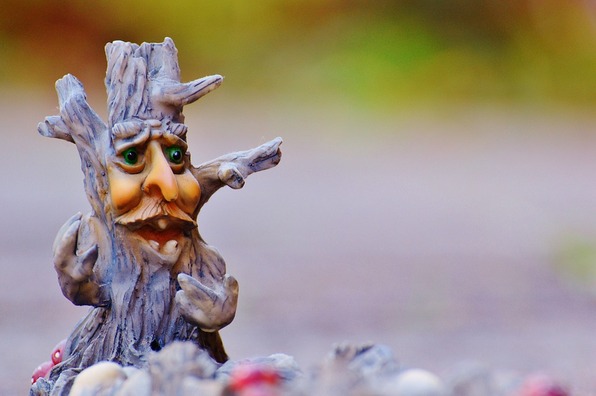 tree-1045916_960_720