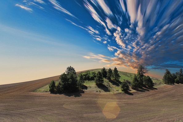 farmland-768603_1920