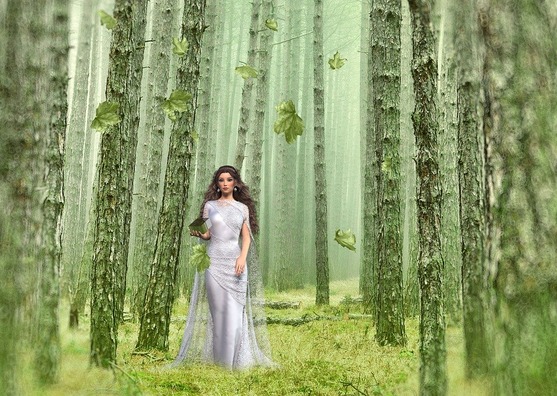 fantasy-4989684_960_720