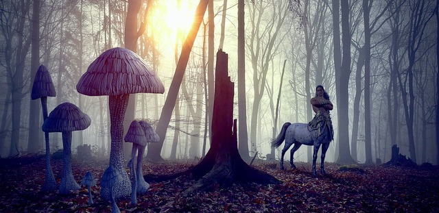 fantasy-4192511_960_720