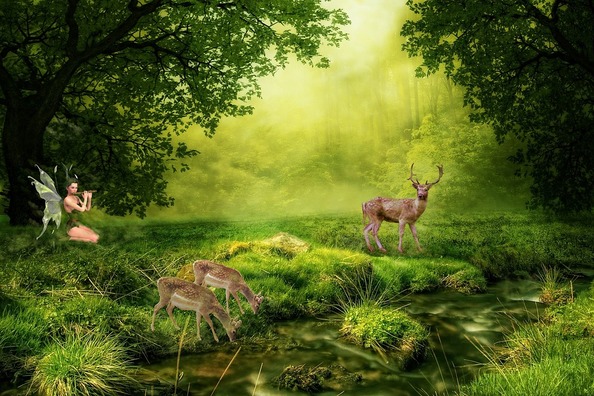 nature-3067581_960_720