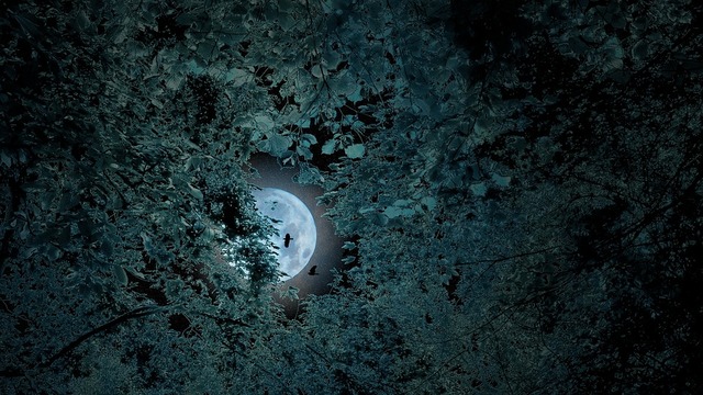 fantasy-1756407_960_720