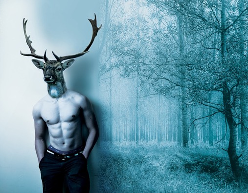 deer-3789127_960_720