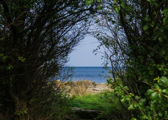 view-1053813_960_720