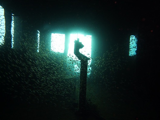 diving-378287_960_720