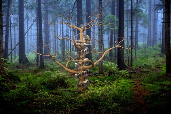 fantasy-3026478_960_720