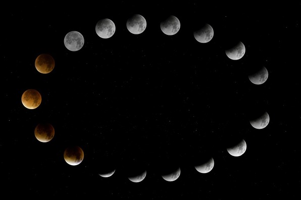 blodmane-2186094_960_720