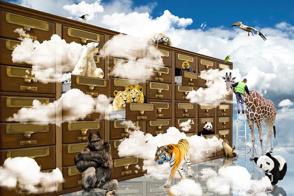 fantasy-2261980_960_720