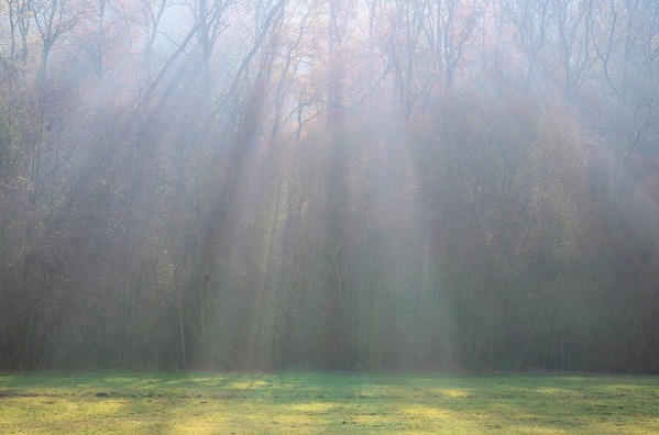 light-beam-3842401_960_720