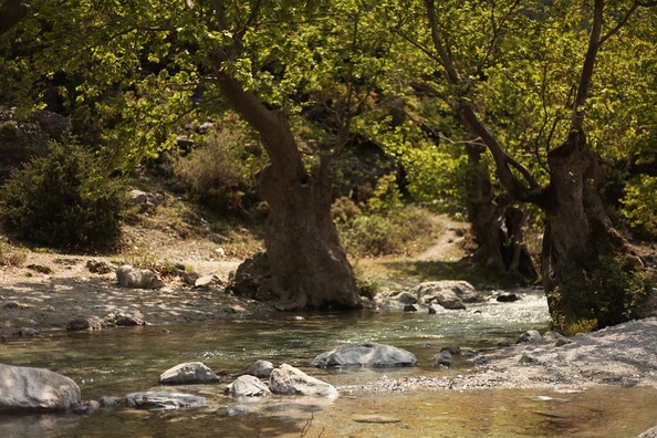 river-3571411_960_720