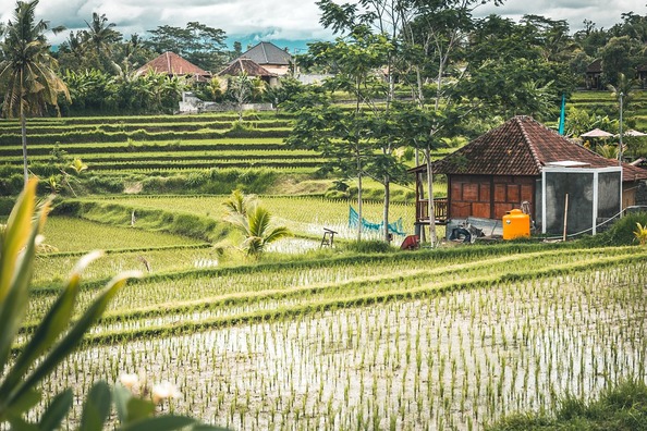 bali-5242161_960_720