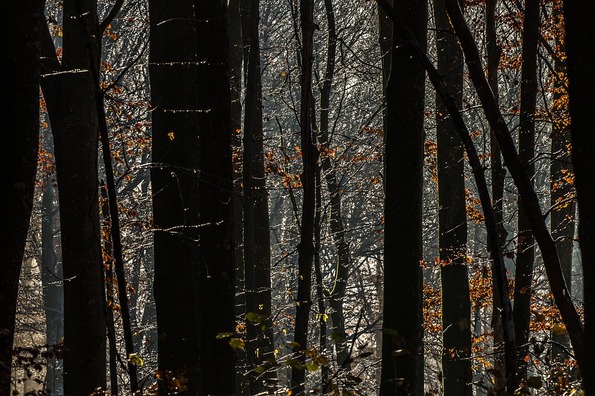 drip-2292716_960_720