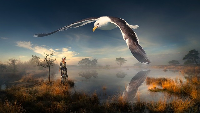 fantasy-3028501_960_720