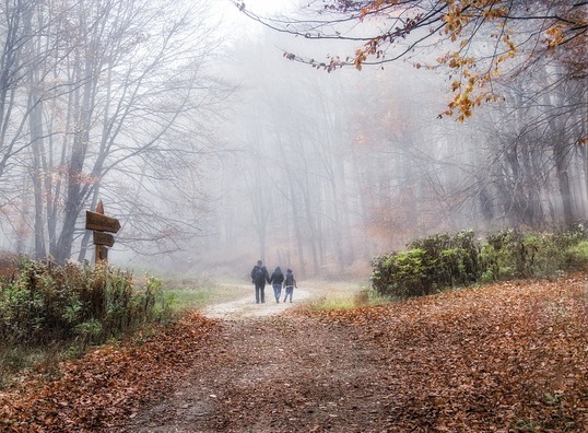 fog-3796774_960_720