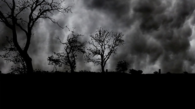 nature-4188664_960_720