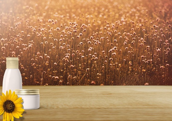 background-image-3256917_960_720