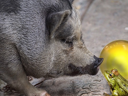 fairy-tales-2697957_960_720