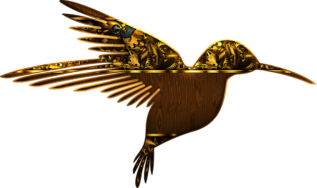 bird-2153103_960_720