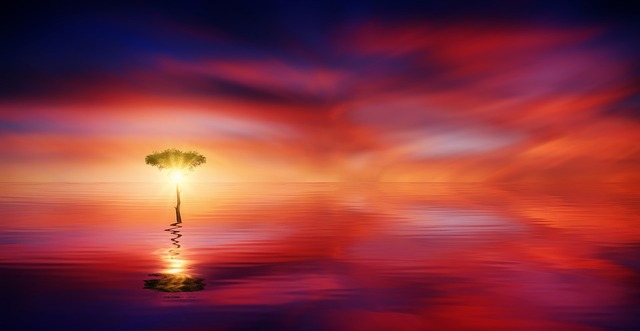 sunset-3690416_960_720