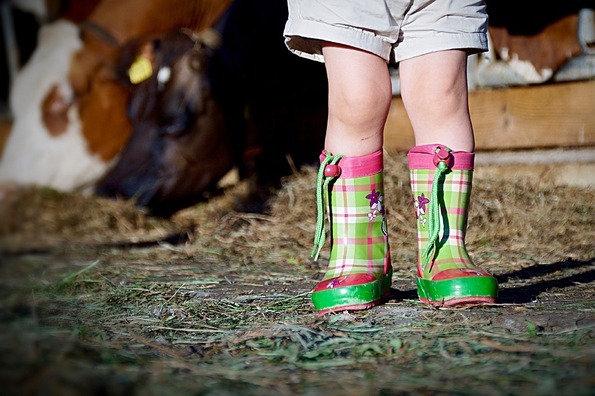 boots-2405036_960_720