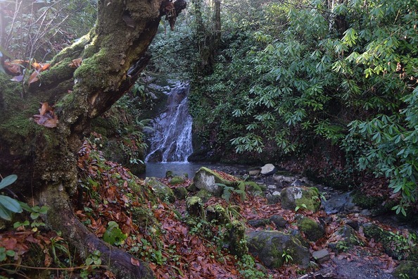 nature-3070293_960_720