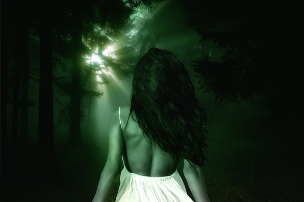 forest-3885329_960_720