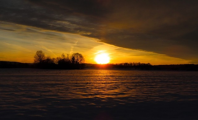 nature-3968596_960_720