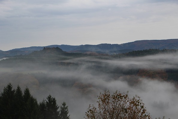 black-forest-1816596_960_720