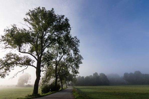 nature-2942384_960_720
