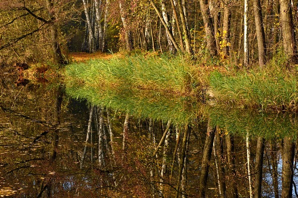 mirroring-3817617_960_720