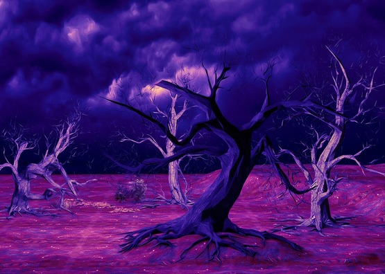 forest-3494574_960_720