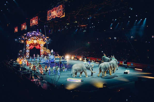 circus-828680_1920