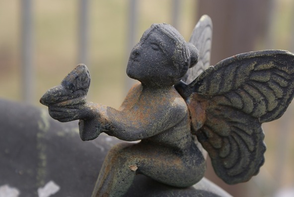 fairy-2183524_960_720