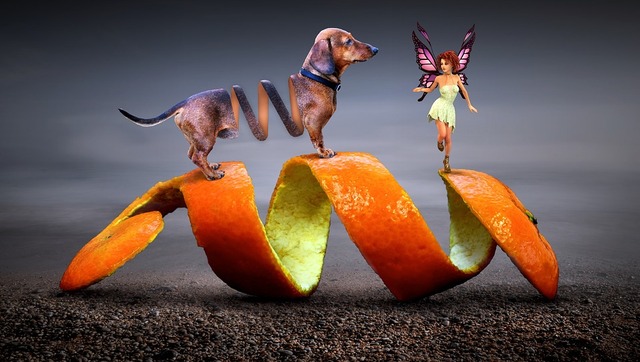 fantasy-3146946_960_720