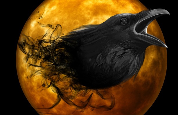 raven-988226_960_720