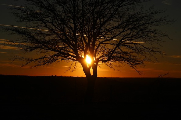 sunset-3197400_960_720