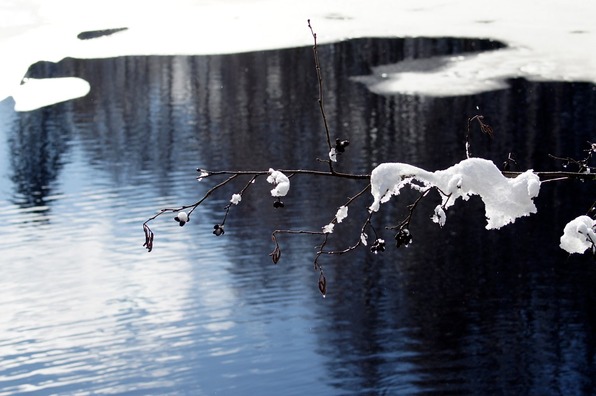 spring-60504_960_720
