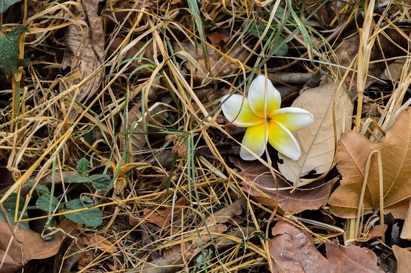 relax-3595262_960_720