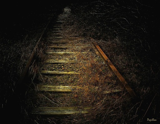 track-255508_960_720