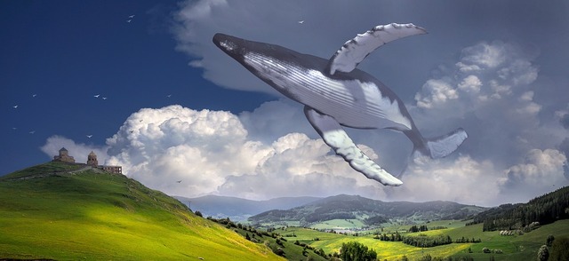 fantasy-3493782_960_720