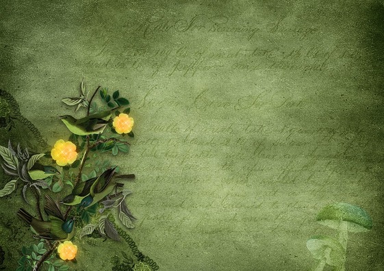 flowers-3590434_960_720