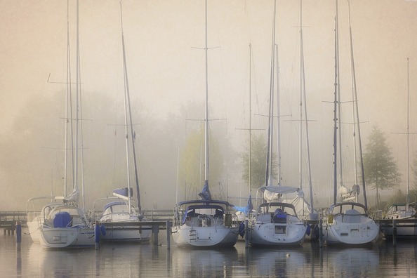 fog-2886563_960_720
