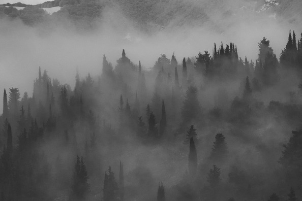 fog-4247784_960_720