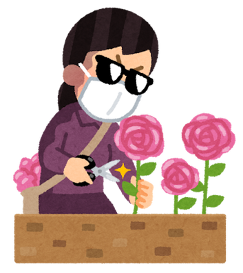 flower_hana_dorobou