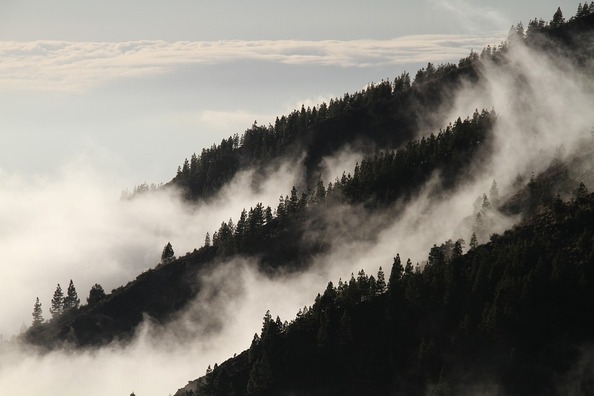 fog-1220491_960_720