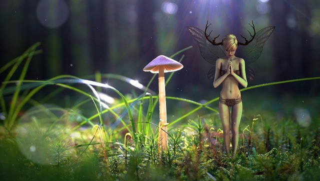 繝悶Ο繧ｰ逕ｻ蜒十fantasy-2945532_960_720